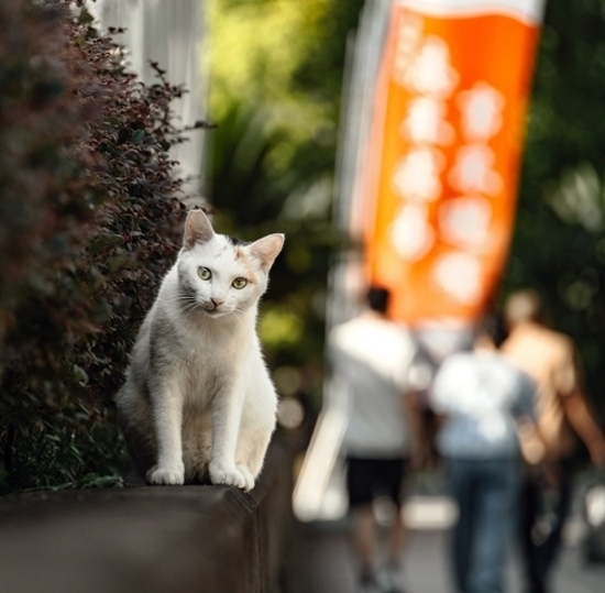 SPbSUT students win a photo contest in China