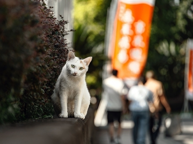 SPbSUT students win a photo contest in China