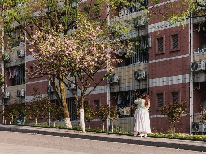 SPbSUT students win a photo contest in China