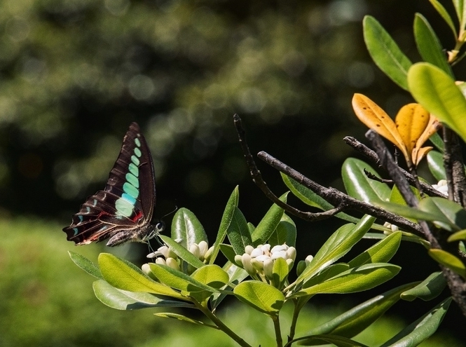 SPbSUT students win a photo contest in China