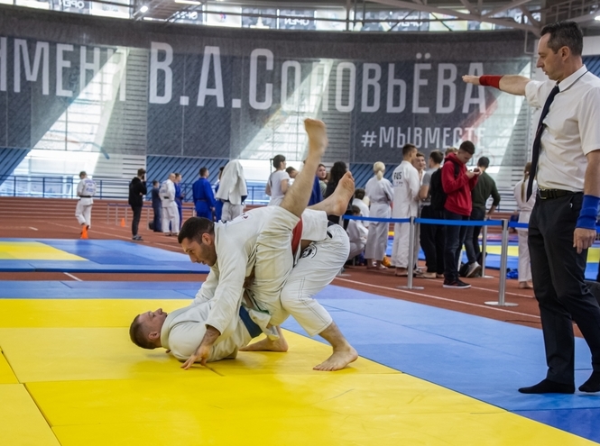 В Санкт-Петербурге пройдет Фестиваль единоборств имени Владимира Соловьева