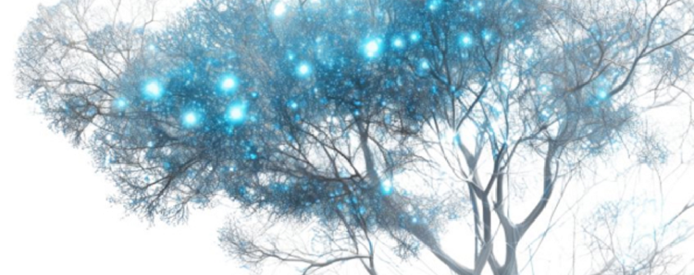 XII Международной научно-практической конференции  «BIG DATA and Advanced Analytics»