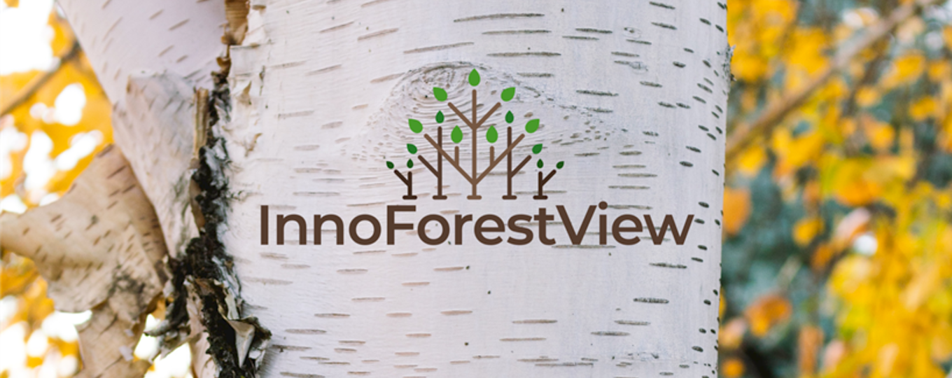 Вебинар по экологии в рамках проекта InnoForestView
