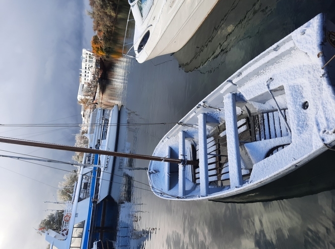 Успехи СПбГУТ в парусном спорте на международных соревнованиях