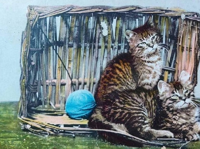 150 лет почтовой открытке в России