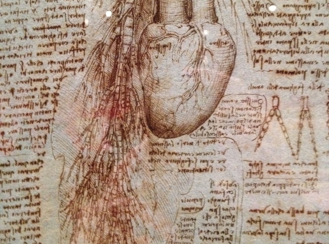 Таинственный гений Леонардо да Винчи