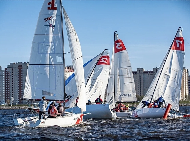 Старты под парусом среди студентов вузов России