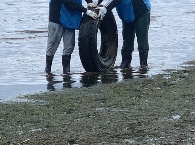 «ЭкоБонч» принял участие в акции по очистке побережья Финского залива