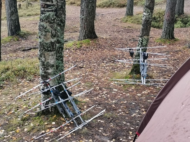 СПбГУТ собрал молодых спортсменов города на спартакиаде «На связи»