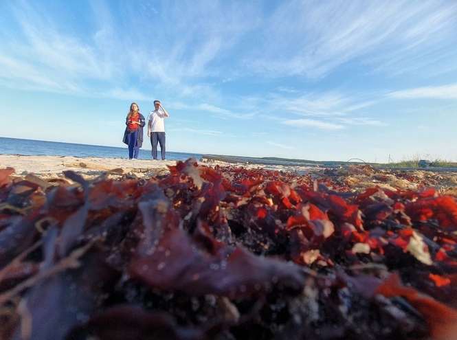 #АрктическийДневник: молодые ученые СПбГУТ – о ходе экспедиции в Архангельской области