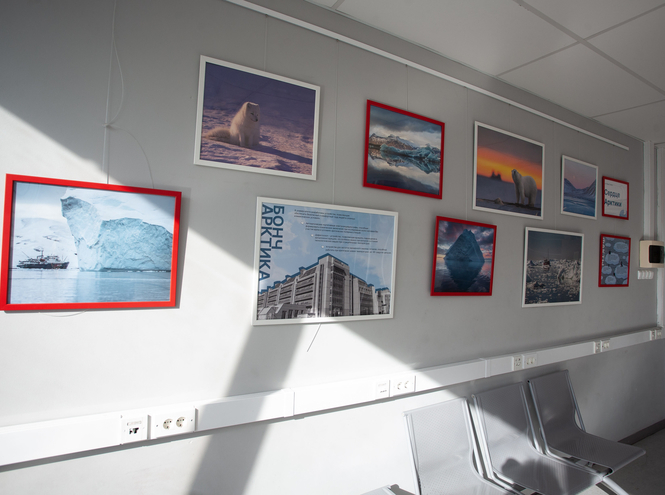 «Что такое Арктика?»: в СПбГУТ открылась художественная выставка по следам экспедиции по морю Лаптевых