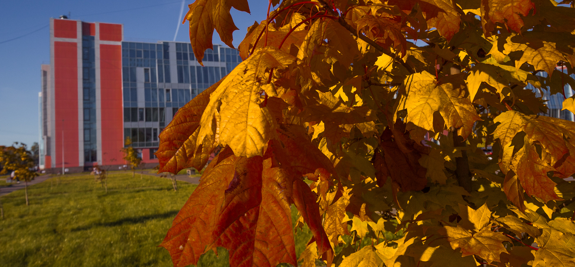 Торжественное заседание ученого совета
