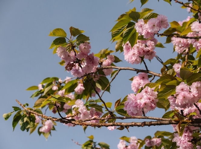 Студенты СПбГУТ стали победителями фотоконкурса в Китае