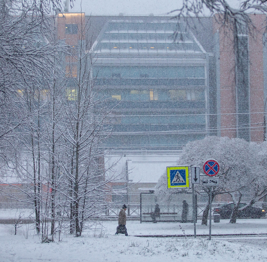 Ректору СПбГУТ объявлена благодарность за создание системы управления качеством образования