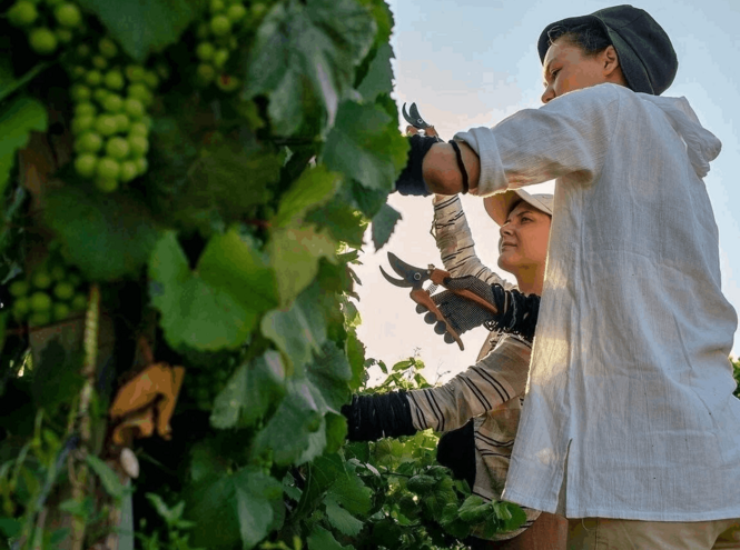 «Ещё все каникулы впереди!»: как отдыхали студенты ЛЭИС-СПбГУТ разных поколений